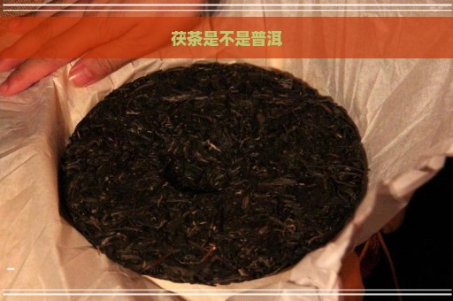 茯茶是不是普洱