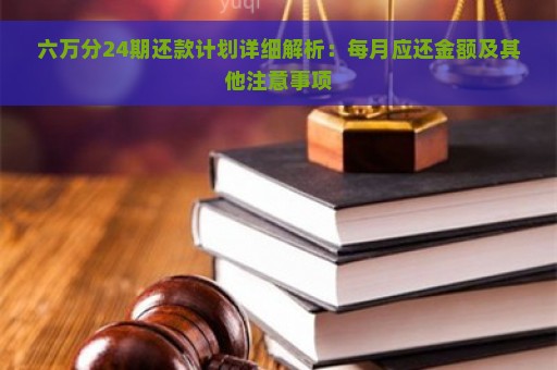 六万分24期还款计划详细解析：每月应还金额及其他注意事项