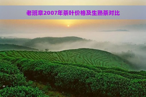 老班章2007年茶叶价格及生熟茶对比