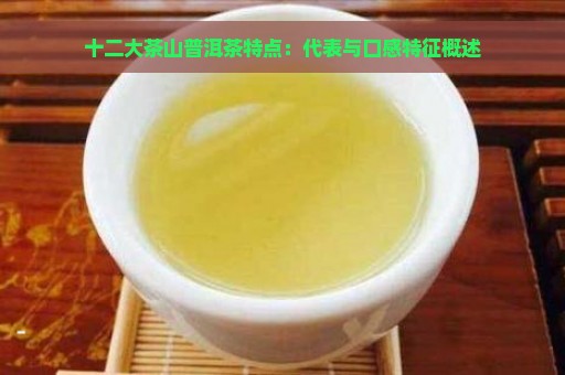 十二大茶山普洱茶特点：代表与口感特征概述