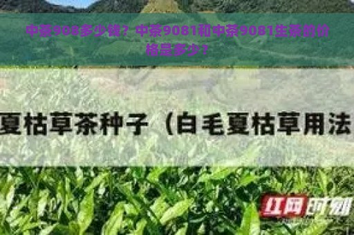 中茶908多少钱？中茶9081和中茶9081生茶的价格是多少？