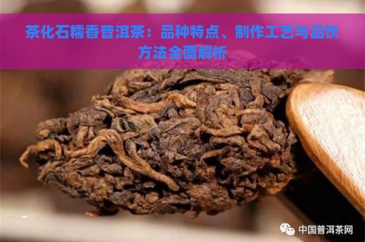 茶化石糯香普洱茶：品种特点、制作工艺与品饮方法全面解析