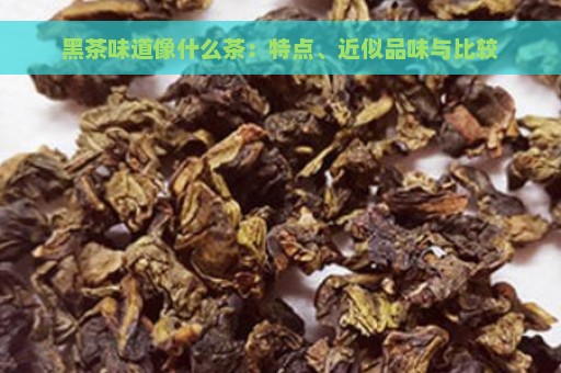 黑茶味道像什么茶：特点、近似品味与比较