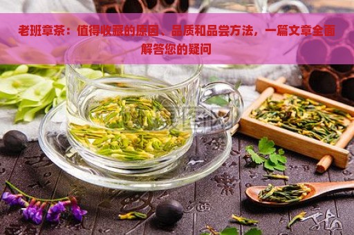 老班章茶：值得收藏的原因、品质和品尝方法，一篇文章全面解答您的疑问