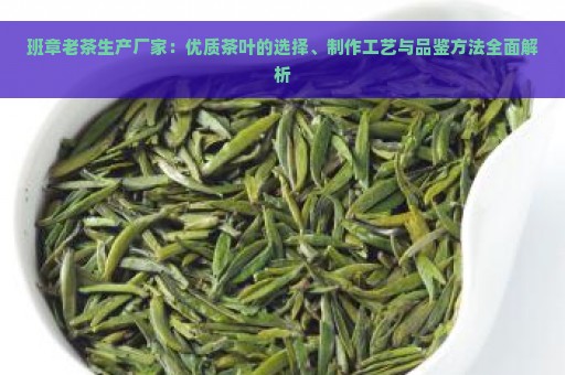 班章老茶生产厂家：优质茶叶的选择、制作工艺与品鉴方法全面解析