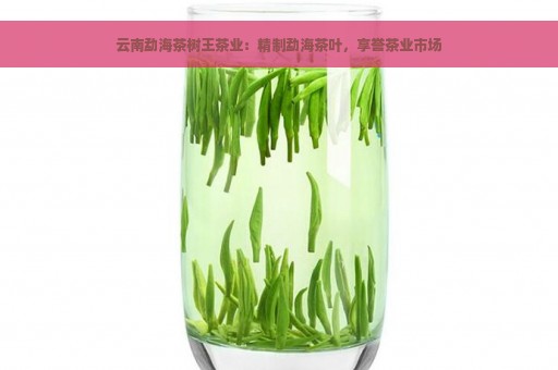 云南勐海茶树王茶业：精制勐海茶叶，享誉茶业市场