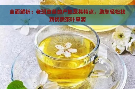 全面解析：老班章茶的产地及其特点，助您轻松找到优质茶叶来源