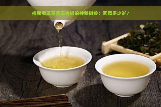 揭秘老班章茶王树树的神秘树龄：究竟多少岁？