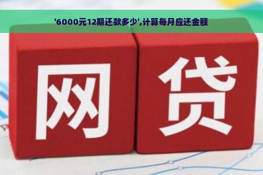 '6000元12期还款多少',计算每月应还金额