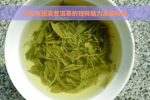 探究老班章普洱茶的独特魅力及其特点