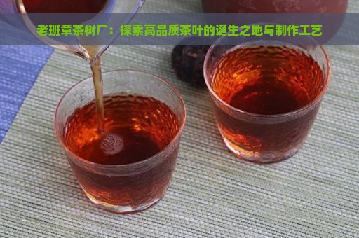 老班章茶树厂：探索高品质茶叶的诞生之地与制作工艺