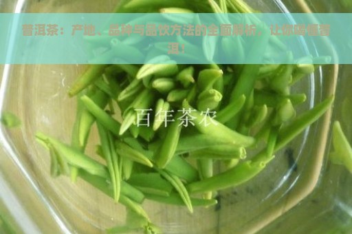 普洱茶：产地、品种与品饮方法的全面解析，让你喝懂普洱！