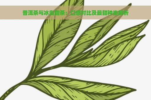 普洱茶与冰岛甜茶：口感对比及最甜种类解析