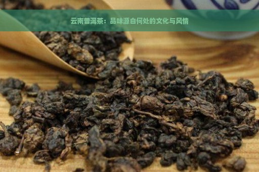 云南普洱茶：品味源自何处的文化与风情