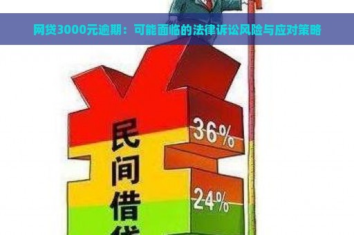 网贷3000元逾期：可能面临的法律诉讼风险与应对策略