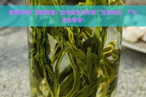 老班章茶厂直销直播：勐海县老班章茶厂生茶排名，厂长亲自带货！