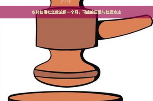 农村信用社贷款逾期一个月：可能的后果与处理方法