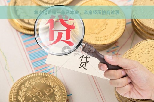 放心借逾期一年还本金，亲身经历协商过程