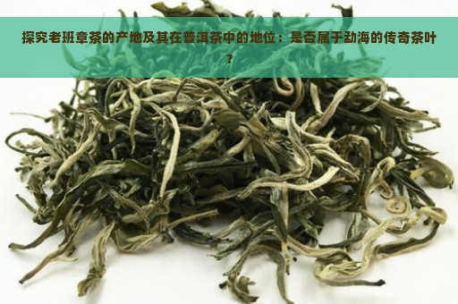 探究老班章茶的产地及其在普洱茶中的地位：是否属于勐海的传奇茶叶？