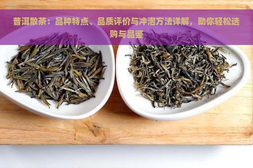 普洱散茶：品种特点、品质评价与冲泡方法详解，助你轻松选购与品鉴