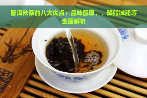 普洱秋茶的八大优点：品味醇厚、、降脂减肥等全面解析