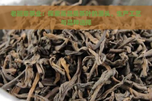 老班章茶业：探索高品质茶叶的源头、生产工艺与品种选择