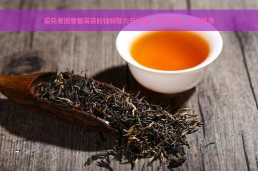 探究老班章普洱茶的独特魅力与价值：不谈价格，只论品质