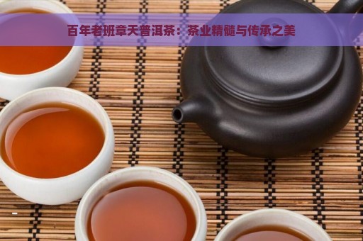 百年老班章天普洱茶：茶业精髓与传承之美