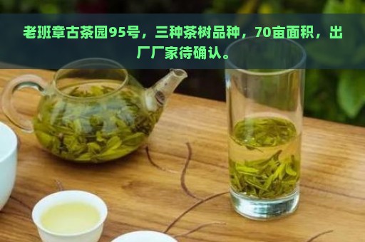 老班章古茶园95号，三种茶树品种，70亩面积，出厂厂家待确认。