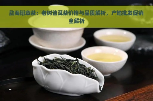 勐海班章茶：老树普洱茶价格与品质解析，产地批发促销全解析