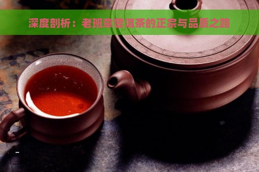 深度剖析：老班章普洱茶的正宗与品质之路