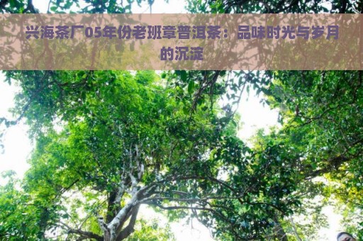 兴海茶厂05年份老班章普洱茶：品味时光与岁月的沉淀