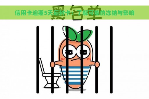 信用卡逾期5天后封卡：了解可能的冻结与影响