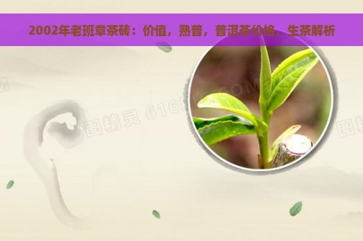 2002年老班章茶砖：价值，熟普，普洱茶价格，生茶解析