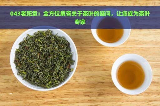 043老班章：全方位解答关于茶叶的疑问，让您成为茶叶专家