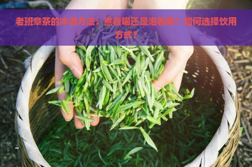 老班章茶的冲泡方法：煮着喝还是泡着喝？如何选择饮用方式？