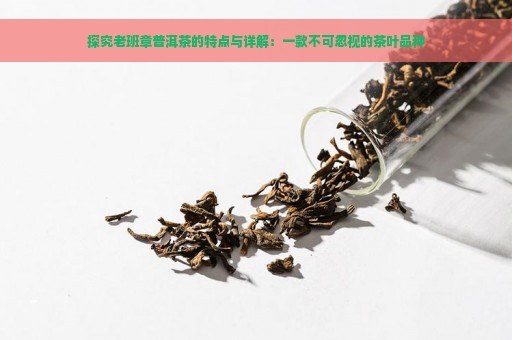 探究老班章普洱茶的特点与详解：一款不可忽视的茶叶品种