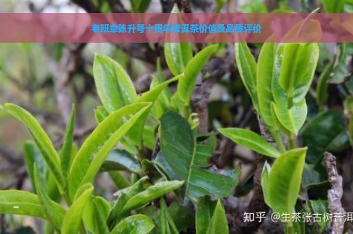 老班章陈升号十周年普洱茶价值及品质评价