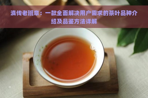 滇传老班章：一款全面解决用户需求的茶叶品种介绍及品鉴方法详解