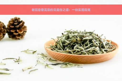 老班章普洱茶的完美存之道：一份实用指南