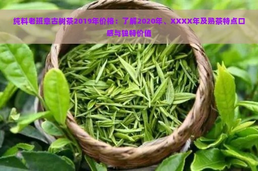 纯料老班章古树茶2019年价格：了解2020年、XXXX年及熟茶特点口感与独特价值