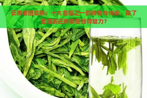 云南老班章茶：十大名茶之一的传奇与传承，除了普洱茶还有哪些独特魅力？