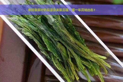 老班章茶叶的起源及发展历程：哪一年开始出名？