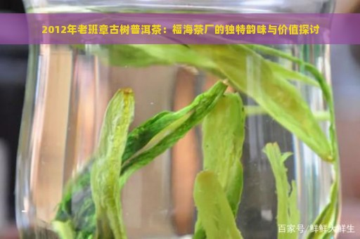 2012年老班章古树普洱茶：福海茶厂的独特韵味与价值探讨