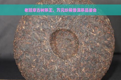 老班章古树茶王，万元珍稀普洱茶品鉴会