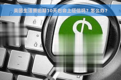 美团生活费逾期10天右会上征信吗？怎么办？