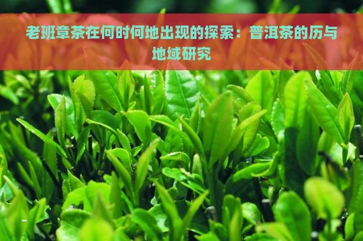 老班章茶在何时何地出现的探索：普洱茶的历与地域研究