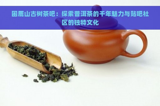 困鹿山古树茶吧：探索普洱茶的千年魅力与贴吧社区的独特文化