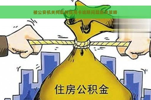 被公安机关拘留的信用卡逾期问题解决策略