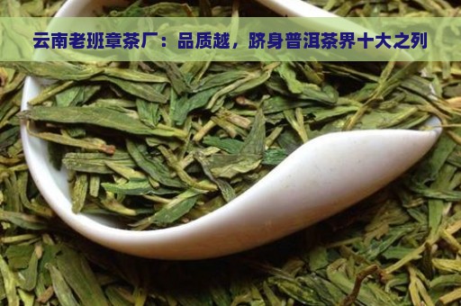 云南老班章茶厂：品质越，跻身普洱茶界十大之列